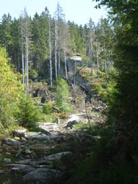 Kampf um die Rettung des Böhmerwalds