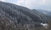 Typischer Fichtenwald im Schwarzwald, Blick bei St. Georgen, Quelle: selbst fotografiert, Fotograf: Siegfried Wessler, Datum: 11. April 2006, CC-BY-SA-2.0-DE