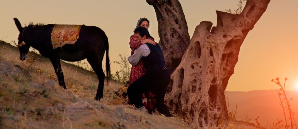 Eine Frau und ein Mann umarmen sich neben einem Esel