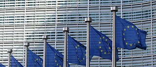 Μια σειρά από ιστούς με τη σημαία της ΕΕ μπροστά από ένα μοντέρνο κτίριο.