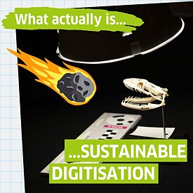 What actually is sustainable digitisation?