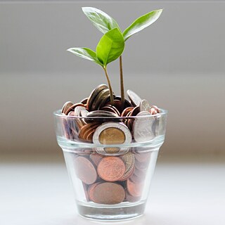 A plant growing out of a glass, filled with coins. Image for illustration