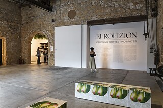 View of an exhibition hall with brick walls and an arch. A woman stands in front of a wallpaper with text about the exhibition EVROVIZION. There are square boxes covered with an illustration.