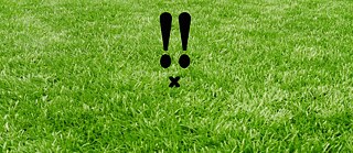 Schematischer Osterhase erstellt aus zwei Ausrufezeichen und dem Buchstaben X vor grünem Rasen.