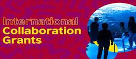 International Collaboration Grant