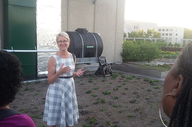 Die Dekanin des Programmes CAUSES, Sabine O’Hara, erklärt Studierenden des Faches Nachhaltige Städtische Landwirtschaft, wie der UDC-Dachgarten funktioniert.