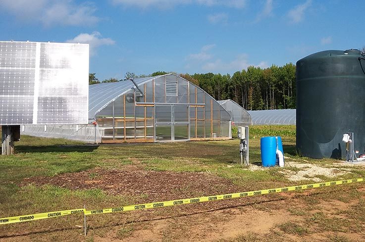 Für die Fischfarm und das Gemüse auf der Firebird Farm wird Grundwasser mit Hilfe von Solarenergie nach oben gepumpt.