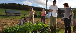 AMI Farm Fellows from the 2012 cohort working on the Allegheny Mountain Farm campus. 