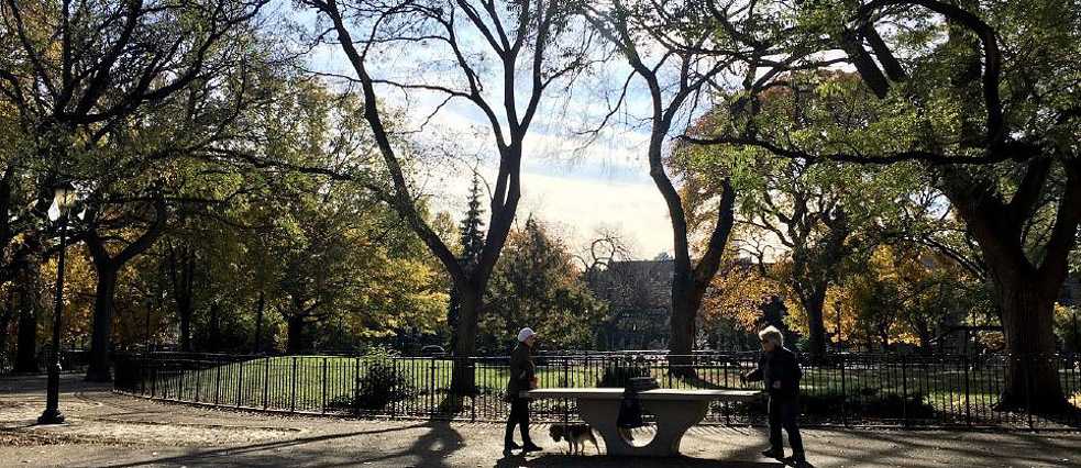Tompkins Square Park Goethe Institut Usa