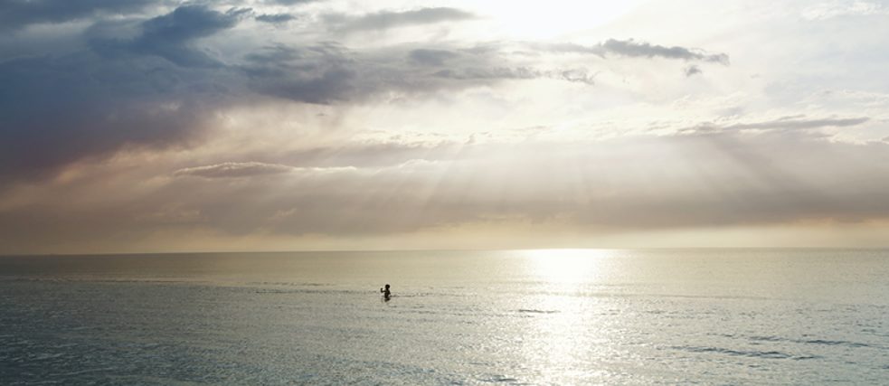 Get Der mensch kann zwar tun war er wird er can not wollen war er aber wille Desktop Wallpaper Free Der Mensch Kann Zwar Tun War Er Wird Er Can Not Wollen War Er Aber Wille