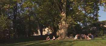 Menschen lesen unter dem Baum in einem Park