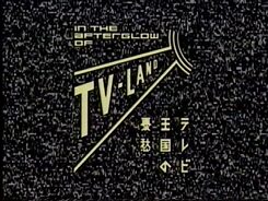 Telexplosion TV-Land Logo