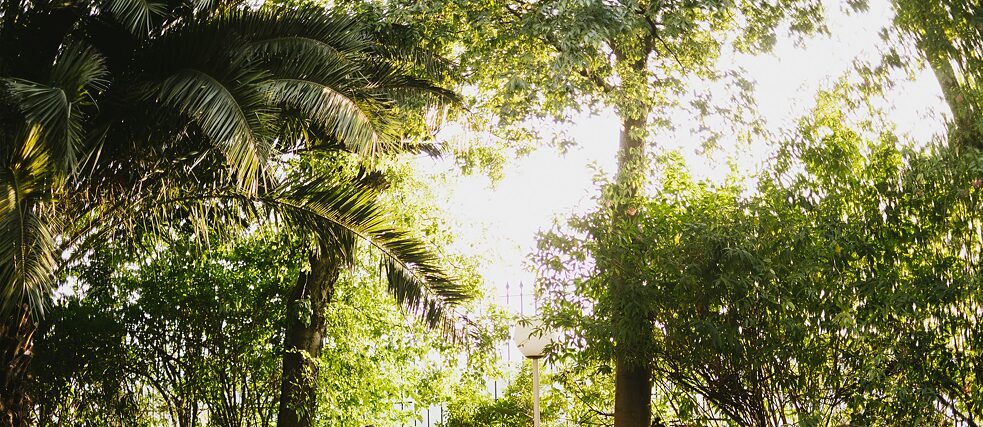 Banner Nachhaltigskeit Banner Nachhaltigskeit