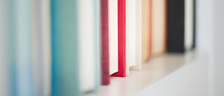 Colourful books stand in a row on a shelf.
