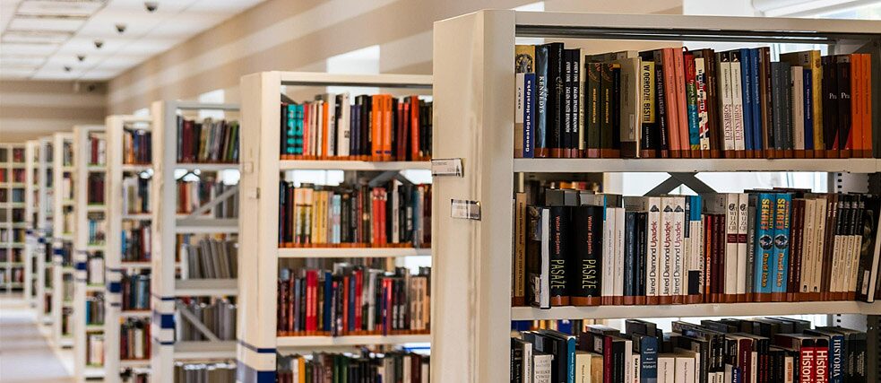 Workshop Daring Pengetahuan Dasar Perpustakaan Kelas Dan Sekolah Inisiatif Sekolah Mitra Menuju Masa Depan Pasch Goethe Institut Indonesien