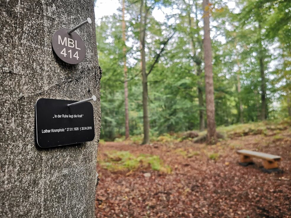 Die Kosten für eine Waldbestattung liegen zwischen 770 Euro für einen Einzelplatz und mindestens 2490 Euro für einen Baum mit bis zu 20 Plätzen.