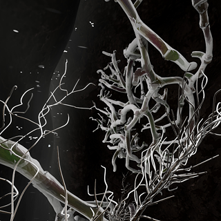 Abbildung eines Wurzelsystems als Teil einer immersiven VR-Erfahrung