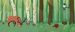 Illustration eines Waldes mit Tieren