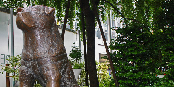 Foto (Ausschnitt): istolethetv, CC BY 2.0 Foto (Ausschnitt): istolethetv, CC BY 2.0