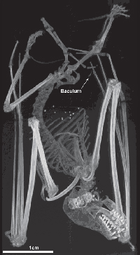 Foto: © Privatarchiv