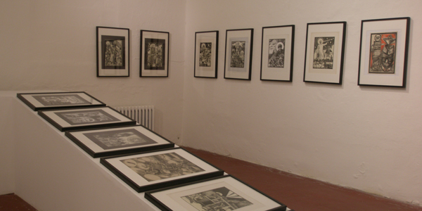 Foto: © Veronika Rollová Foto: © Veronika Rollová