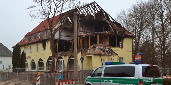 Foto: André Karwath, CC BY-SA 2.5