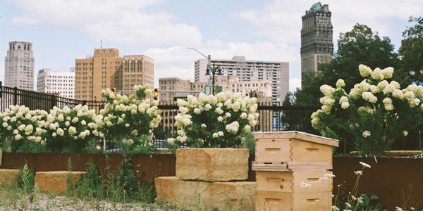 Bienenhäuser mitten in der Stadt. © Iveta Černá
