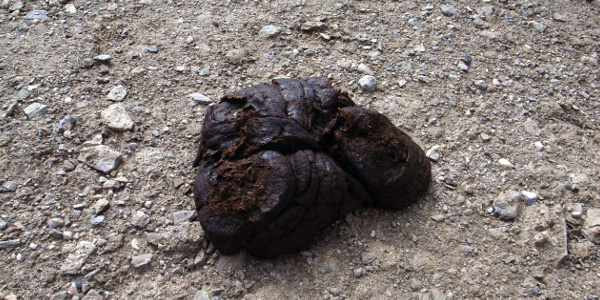 Foto: Chen Zhao, CC BY 2.0