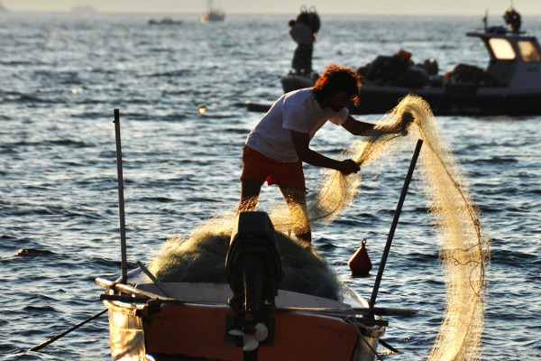 Foto (výřez): Rising Damp, CC BY 2.0