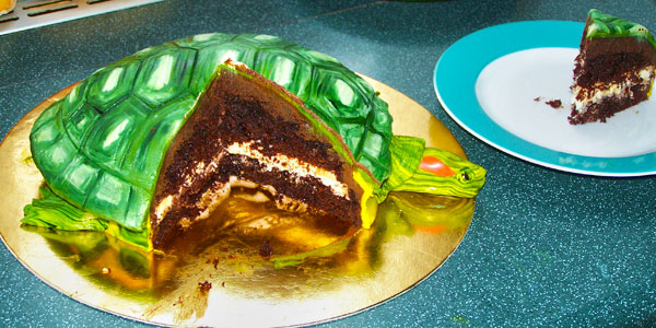 Foto: © Renáta Šťastná Foto: © Renáta Šťastná