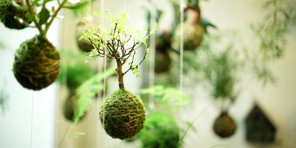 Foto: © Zahrada na niti | zahradananiti.cz