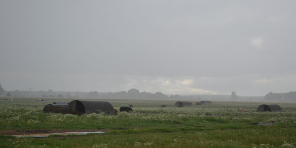 Foto: © Christine Bertschi