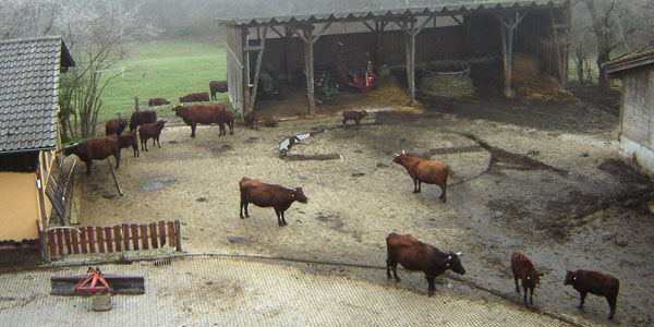 Foto: Florian K, CC BY-SA 3.0