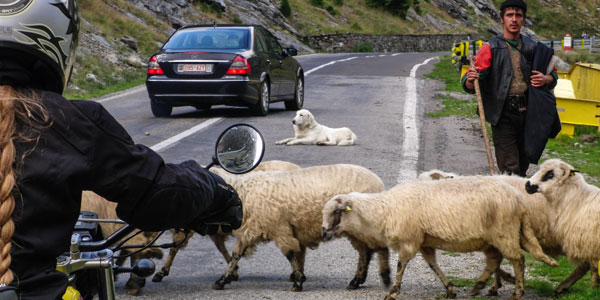 Foto: © Dominika Gawliczková 