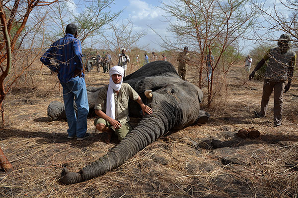 Foto: © Save-Elephants | save-elephants.org