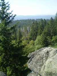 Kampf um die Rettung des Böhmerwalds