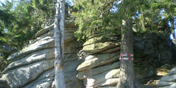 Kampf um die Rettung des Böhmerwalds