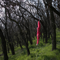 Foto: Hana Svobodová