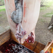 Foto: Christian Rühmkorf