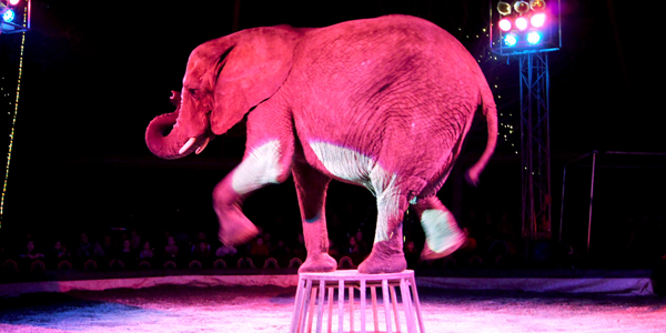 Foto: Morten Schwend CC BY-SA 2.0 Foto: Morten Schwend CC BY-SA 2.0