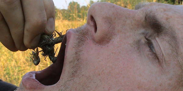 Foto: © Kai Sackmann