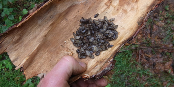 Foto: © Kai Sackmann