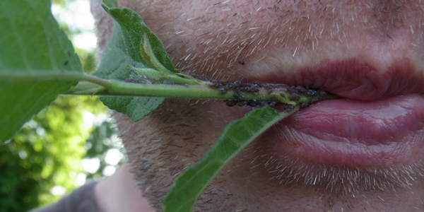 Foto: © Kai Sackmann