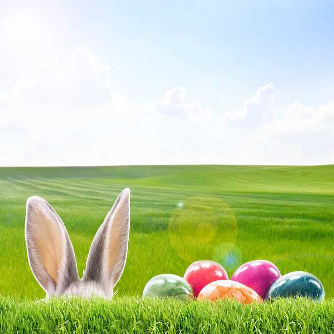 „Stups, der kleine Osterhase“ - Deutschstunde Portal - Goethe-Institut