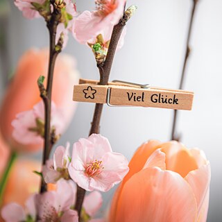 Symbols of Good Luck