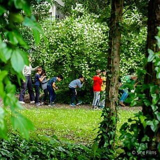 Plant Power and Leaf Whispers – Bring the Strength of Biodiversity to Your School!