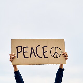 Friedenssicherung - German Military and International Peacekeeping