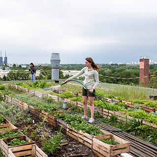 Ein Vergleich zwischen „grünen“ Städten 