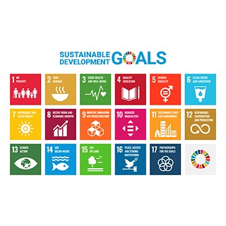 Sustainable Development Goals - A Roadmap for the Future