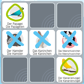 Drei gewinnt: Haustiere